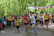 Auf ging es zum 6. Münchner-Kindl Lauf am 04.05.2013 im Englischen Garten (Foto: MartiN Schmitz)